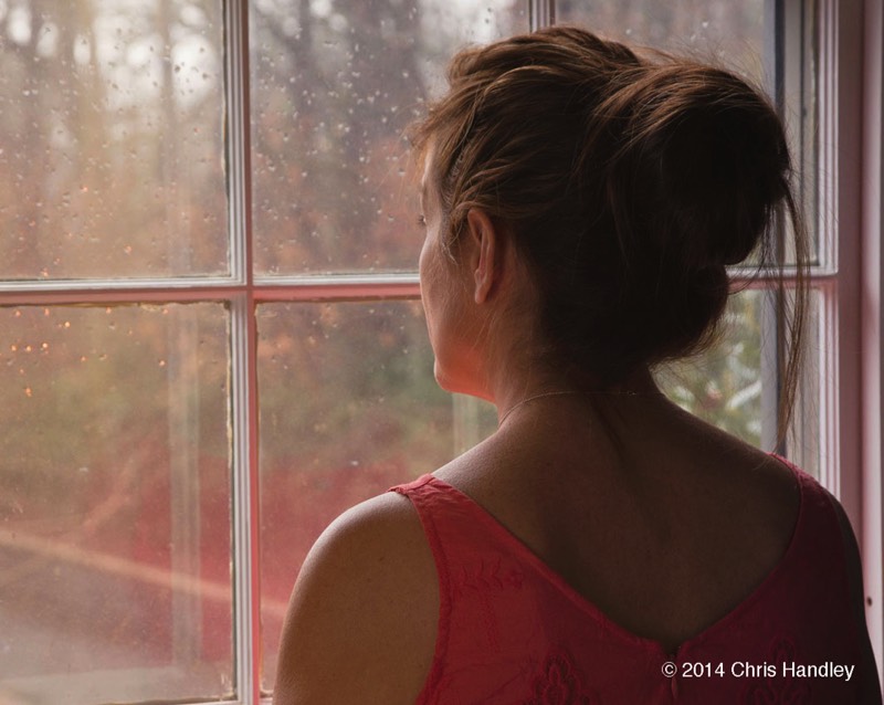 Meesh in Window