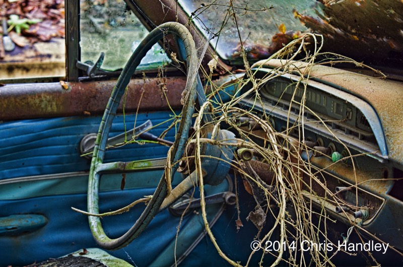 Tangled Up in Blue