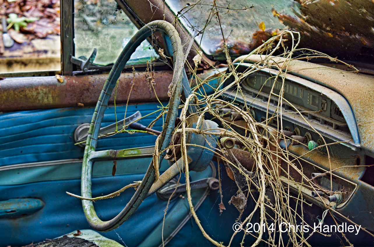 Tangled Up in Blue