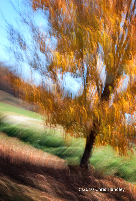 Autumn