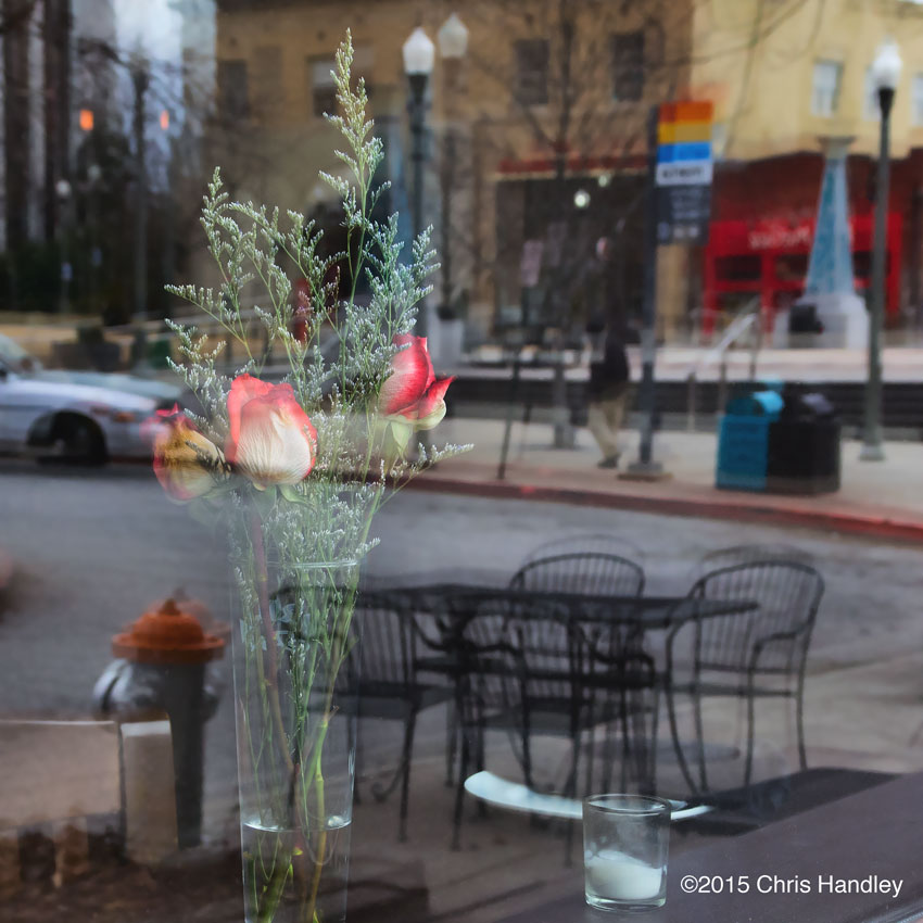 Rose and Reflection