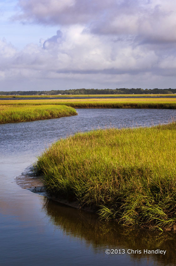 Amelia Island Marsh